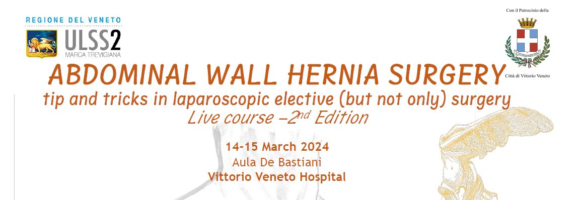Abdominal Wall Hernia Surgery – tip and tricks in laparoscopic elective (but not only) surgery